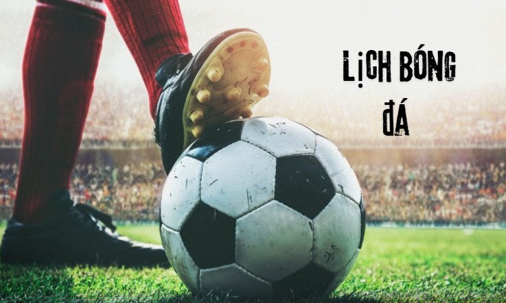 Lịch bóng đá của những giải đấu hàng đầu thế giới