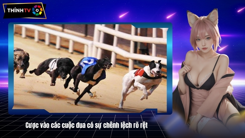 Cuoc vao cac cuoc dua co su chenh lech ro ret