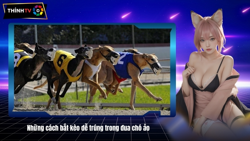 Nhung cach bat keo de trung trong dua cho ao